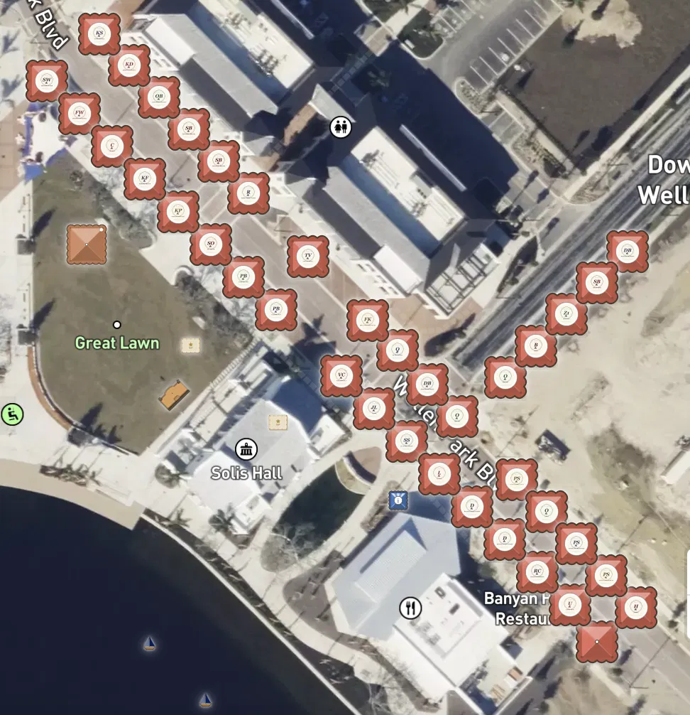 Satellite map view